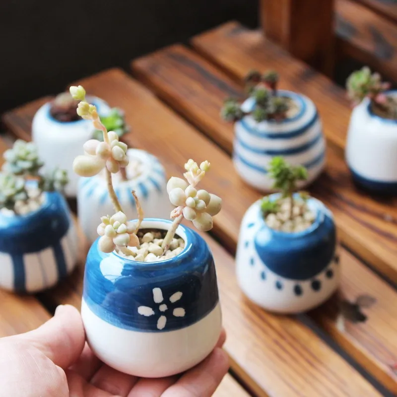 8 piece suit pot home garden mini bonsai cactus flower pot planting succulent flower pot flower wedding birthday gift idea
