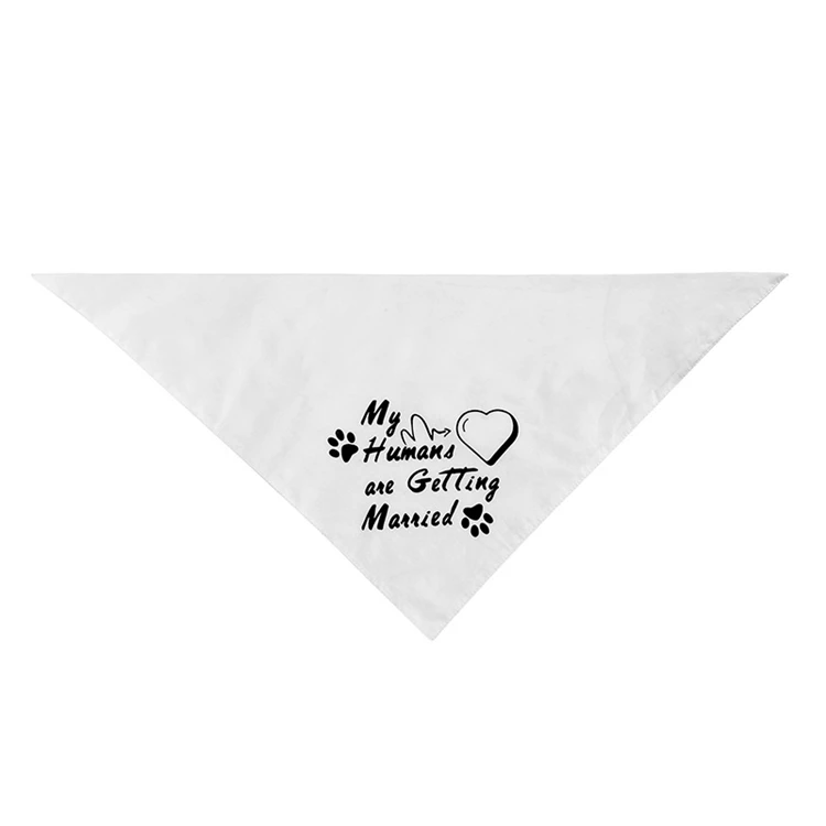 5 - 11995811854_1242344829