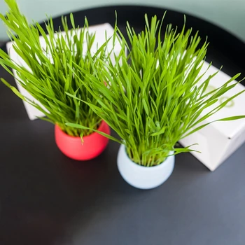 

Cat Grass Cat Chew Toys Kit Flowerpot Soil for Cats to Eat Planter Set Indoor or Outdoor#