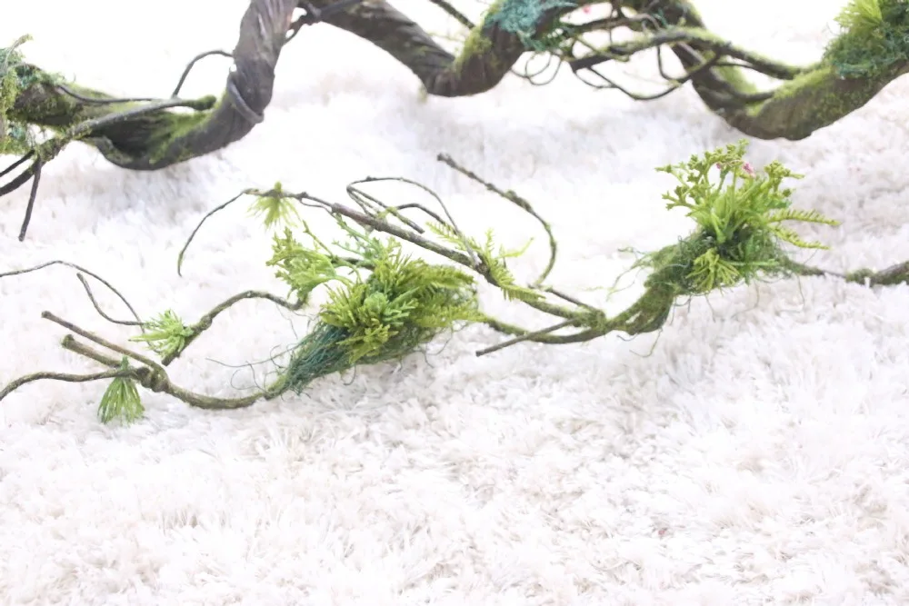 6192015551_1358735368