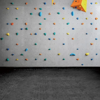

Laeacco Gym Climbing Wall Sport Dark Brick Floor Baby Child Portrait Interior Photographic Backdrop Photo Backdrop Photo Studio
