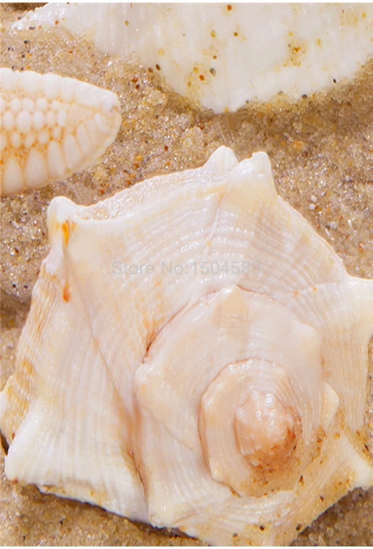 de piso com onda marítima, estrela do