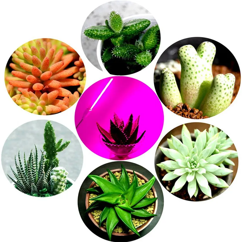 1pcs 3W/14LED Grow Light USB Red & Blue Hydroponic Plant Growing Light Bar for Desktop Plant Flower Growing Support