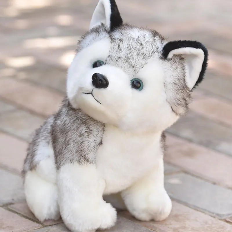 TB2R0R7iInI8KJjSsziXXb8QpXa_!!1059278070_副本