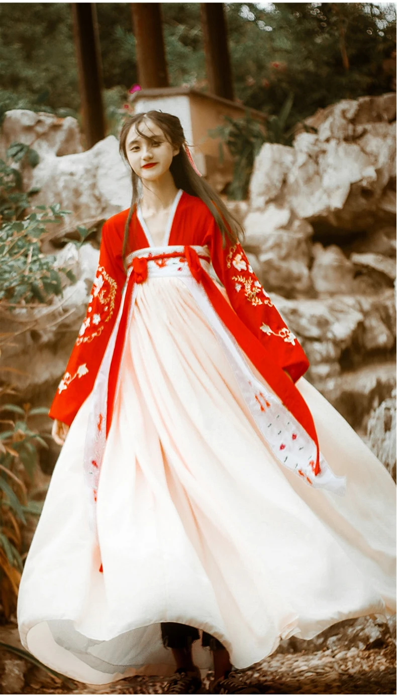 Hanfu Dress Women Traditional Chinese Clothes Embroidered Ancient Folk Dance Costume Tang Dynasty Princess for Stage Performance