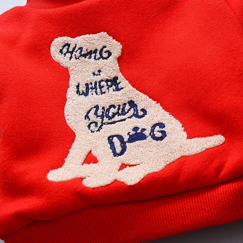 TB2esLOaz3z9KJjy0FmXXXiwXXa_!!1990995404