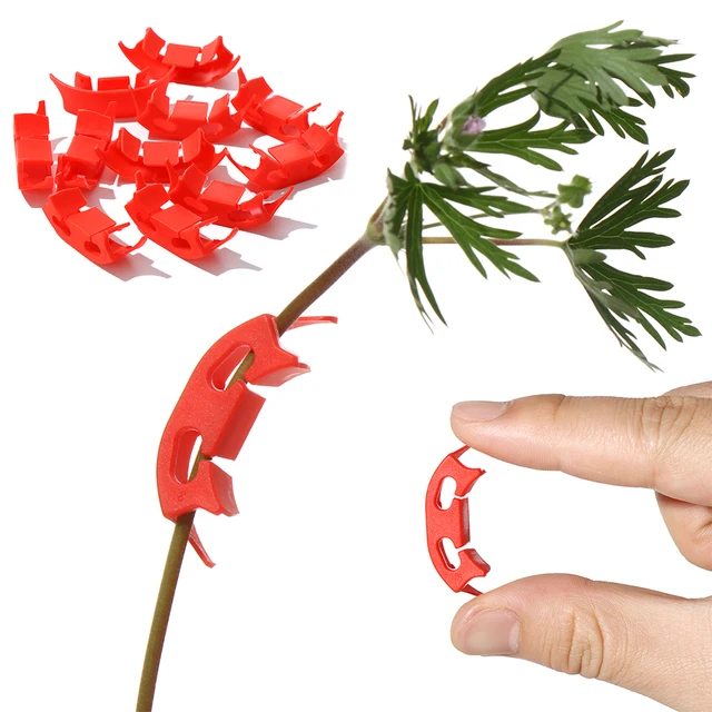 100Db 90 Fokos Növényi Ágak A Hajlító Újrahasznosítható Lst Klipek Alacsony Stressz Edzés Ellenőrzése Növekedés Elkerüli Növények Zsúfolását - Image 4