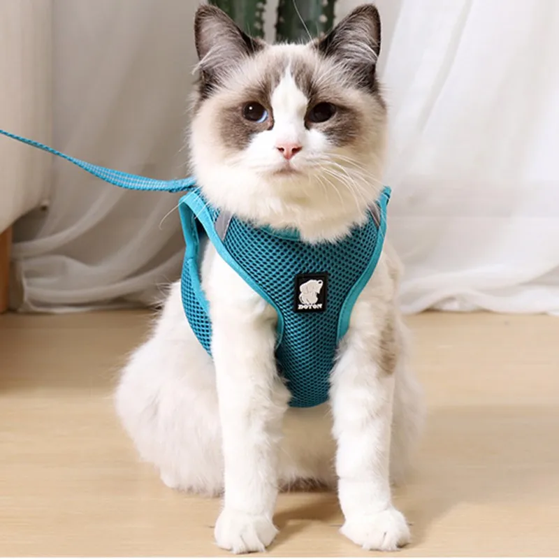 

Breathable And Anti-breakaway Cat With Tethered Rope And Chain Traction Chest Strap
