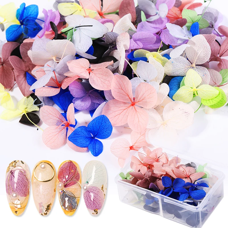 

1 Box Natural Dried Flowers Leaf Nail Art Decorations Beauty Blossom Tips Decals Charms Nails Decals Accessories Gel Polish