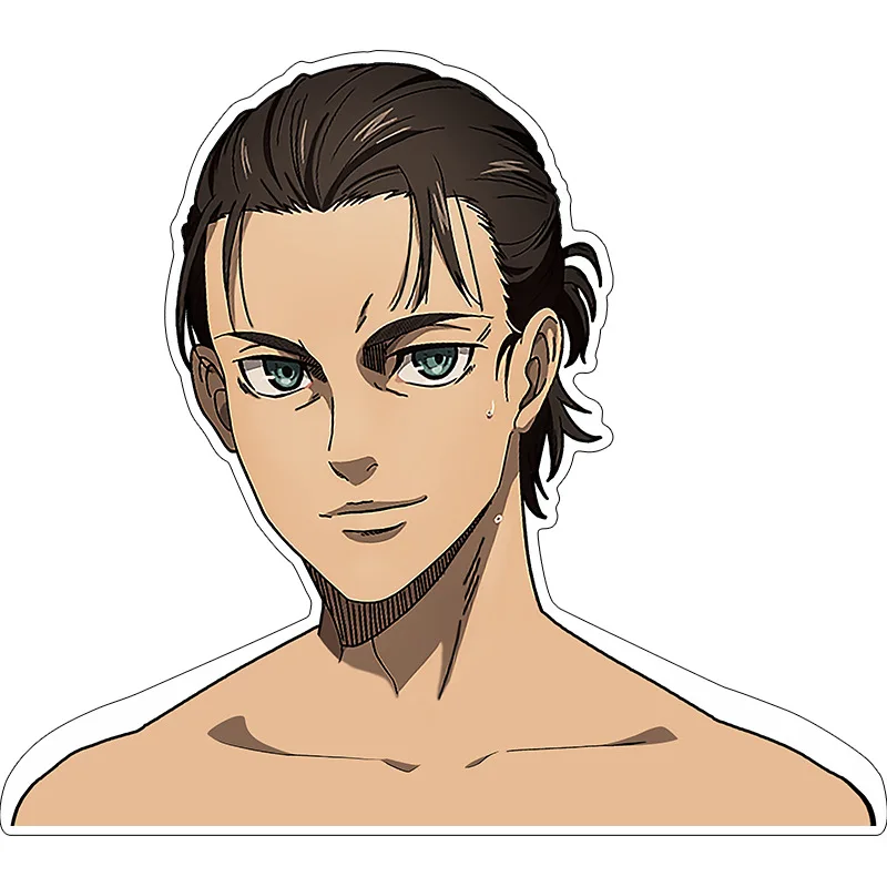 Attack On Titan Mikasa Six Pack