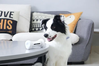 

2020 New Pet Toy WICKEDBONE Smart Pet Emotional Interaction Bone APP Control Pet's Emotions Toy for Dog