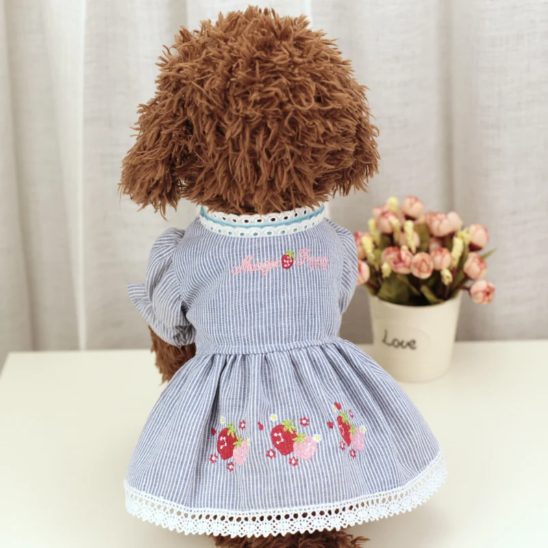 O1CN012vpBMh1ar05caTcfr_!!2923243382