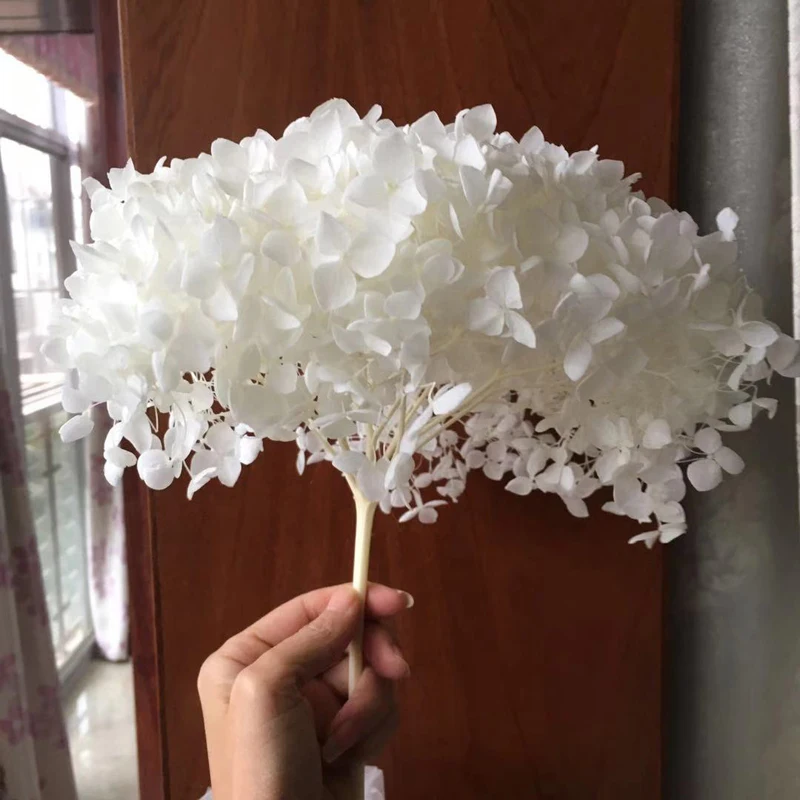 Природная свежая консервированная Анна Гортензия фотоголова DIY Свадьба