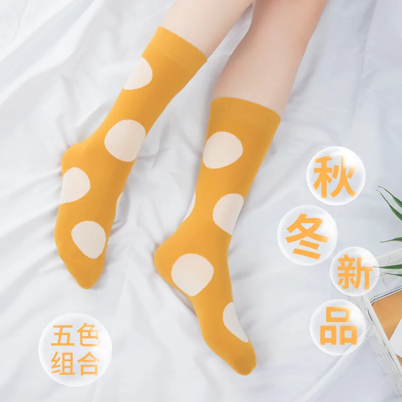 

5 Pairs/set Socks Women's Cotton Socks Fashion Combed Cotton Sock Girls Cute Kawai Socks Factory High Quality