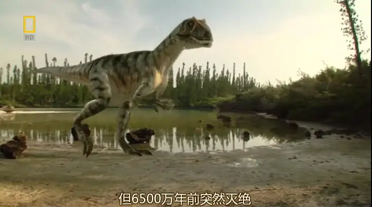 [英语中字]动物世界纪录片：史前掠食动物 Prehistoric Predators (2007) 全7集 1080P图片 No.2