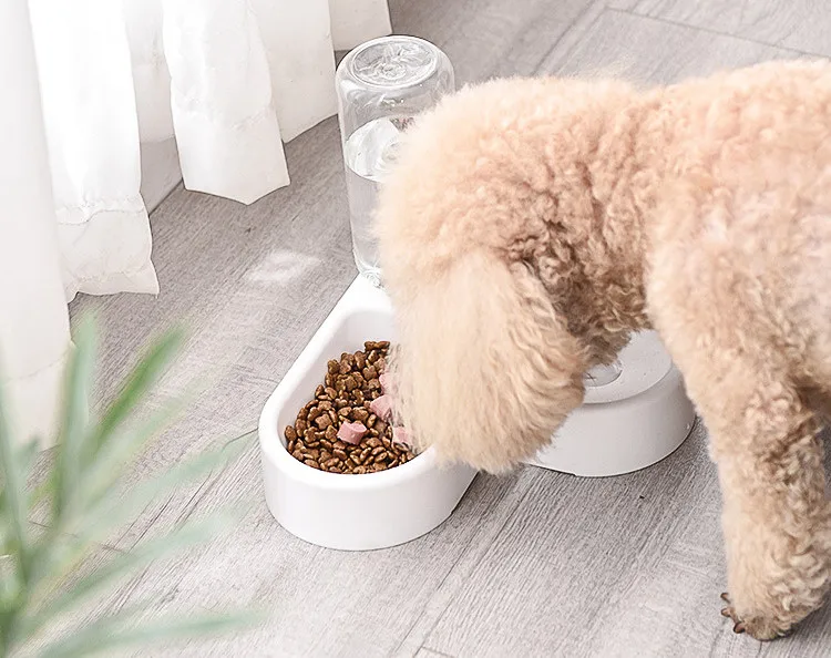 12435766166_1624998023