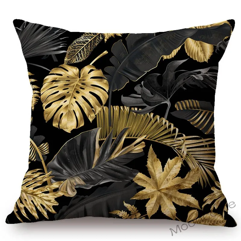 conew_n344 (5) 副本