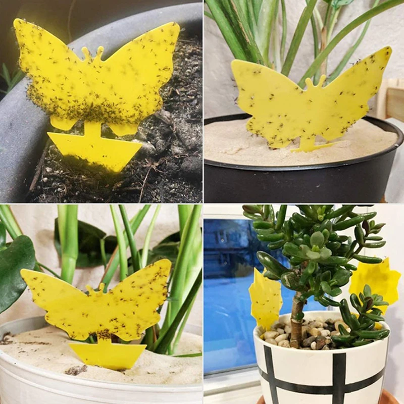 Trampa de moscas pegajosa, doble cara, amarillo, Gnat, trampa de insectos, tablero adhesivo, 10 Uds.