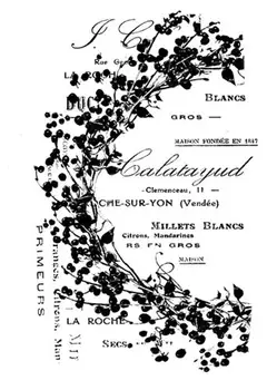 

Flower Background Clear Stamp for Scrapbooking Transparent Silicone Rubber DIY Photo Album Decor 517