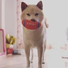 Squeaker French Bulldog Pet Ball Toys for Small Medium Dogs Rubber Puppy Dog Chew Toy Shiba Inu Balls mascotas Accessories 5