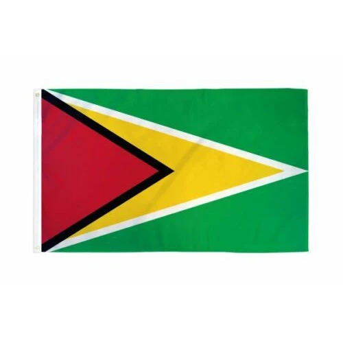 Xiangying 90*150 см GUY GY кооперативный Республика флаг Гайаны для украшения