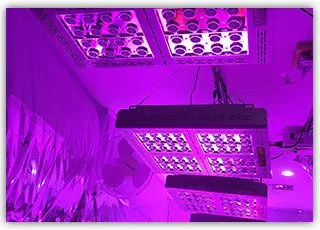 2 шт. Mars гидро светодиодный светильник для выращивания рефлектор 300 Вт полный спектр переключатели+ отражатель дизайн с ИК внутренняя панель для растений