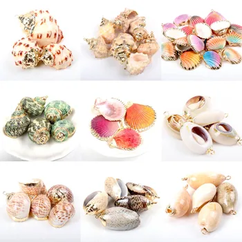 

Natural Sector Shell Gold SeaShells for DIY handmade Home party decoration jewelry making 5pcs KL272