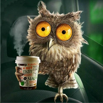 

100% Full 5D Diy Daimond Painting "OWL&Cup" 3D Diamond Painting Round Rhinestones Diamant Painting Embroidery Animals home Decor