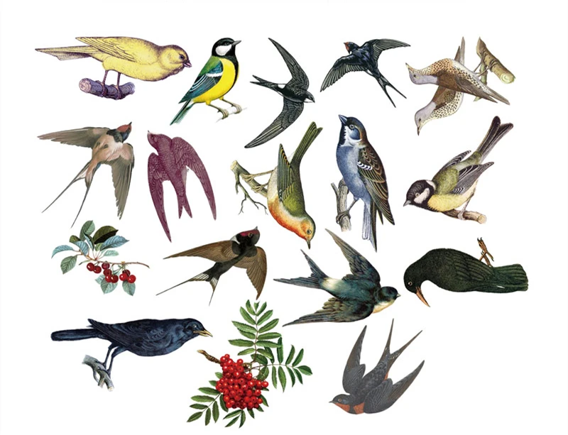 17 шт./пакет junk journal Crow Berry Series наклейка, сделай сам, Скрапбукинг альбом дневник неделя счастливые украшения для ежедневника наклейка