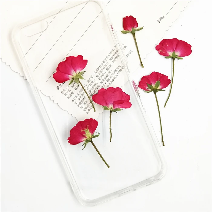 Description Picture 4 of item20-24pcs,Natural Pressed Roses with stem,Eternal Dried rose Flower for DIY Wedding invitations Craft Photo Bookmark Gift Cards