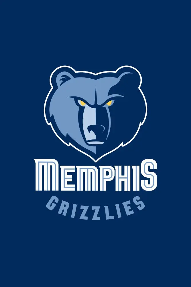 N1 Мемфис флаг Grizzlies 3ft X 5ft полиэстер Мемфис баннер летающие Размеры № 4 90X150 см Изготовленный На Заказ Флаг - Цвет: N1