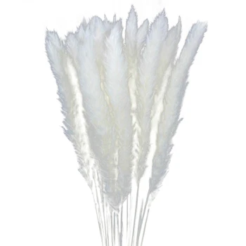

HOT 30Pcs Dried Pampas Grass Natural Bouquet Decoration for Interior Photography Wedding White