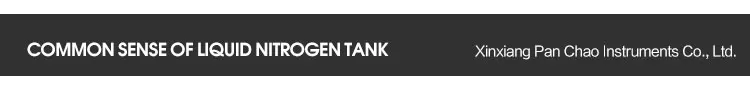 Hot sale YDS liquid nitrogen storage tank container / LN2 dewar flask