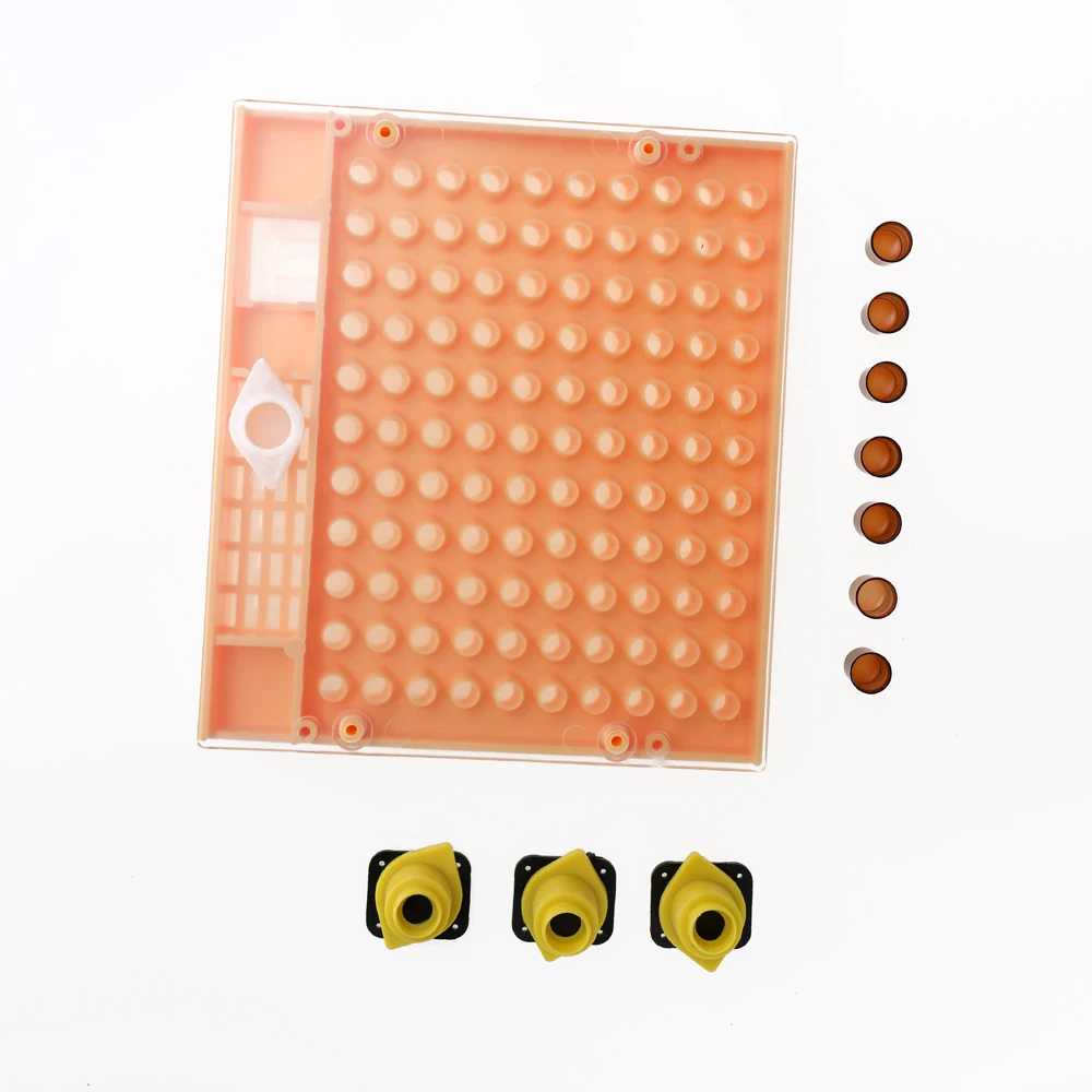 

Hot New 1pcs Beekeeping Tools Queen Bee Rearing Cup Kit Box 110pcs Brown Cell Cups and 30pcs Cotrol Cages Used By Beekeepers