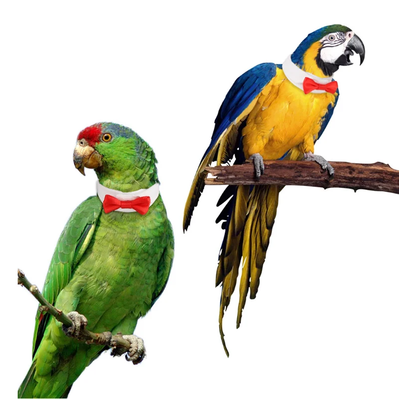 

Parrot Bird Clothes Handmade Costume Cute Neck Bow Tie Collar Tie Small Middle Bird Cat Grooming Adjustable Decorate Accessories