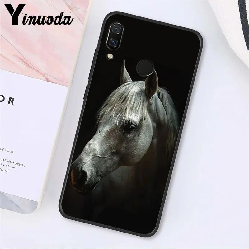 Running Horse Animal