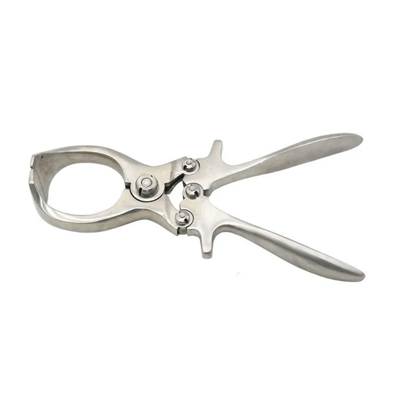 

Stainless Steel Castration Clamp Bloodless Castrating Pig Special Tool