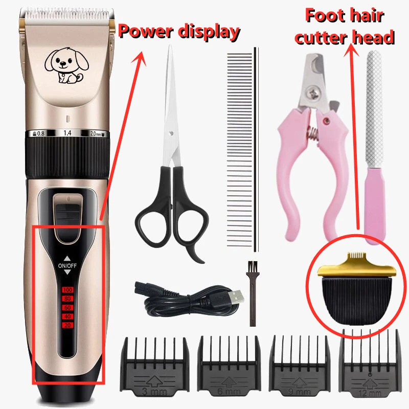 IMG_7040(20201127-182902)