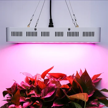 

Hydroponics Equipment Vegetable Grow Board Full Spectrum LED Grow Lights for Indoor Plants