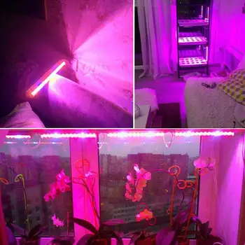 

Indoor Flower LED Grow Light Plant Grow Light Premium Professional Greenhouse Growth Bloom 6W EU Plug 300LM Vegetable Garden
