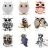 Blue Eyes Enamel Pins Rhinestone Couple Owl Brooch Animal Brooches For Women Men Clothes Scarf Buckle Collar Jewelry Pins ► Photo 1/6