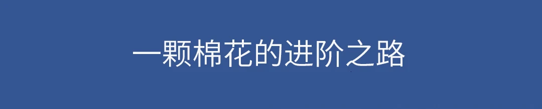 Xiaomi Mijia ранний ветер, прочный, подвластный, полностью хлопчатобумажная пряжа, светильник Polo(совместно заказной фонд