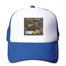 Limp Bizkit вонючий Beaver Повседневная шляпа от солнца, спортивная бейсболка, унисекс, Регулируемая шляпа, кепка грузовика