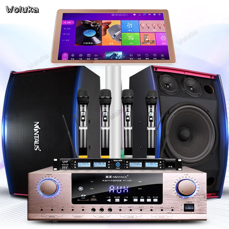 sound system for singing