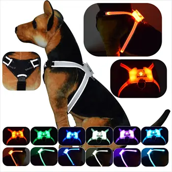 

dogled dog walkigng Reflective Harness for Dogs Including Multicolored LED Fiber Optics