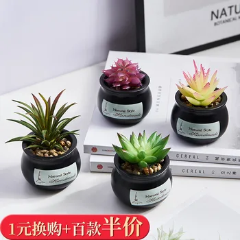 

Northern European-Style Simple Creative Desktop Model Succulent Green Vegetation Potted Plant Entrance Floral Decoration Bonsai