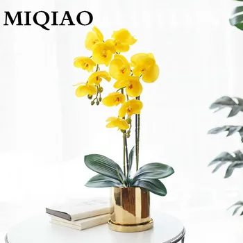 

MIQIAO Low Key Luxury High Quality Artificial Colourful Butterfly Orchid For Event Store Opening Site Layout 1 Pieces 1 Bottle