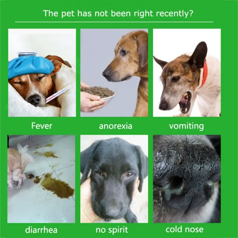 Новая тестовая бумага для домашних животных, для кошек и собак, для обнаружения здоровья в домашних условиях, для вируса дистемпера(CDV)/CPV Canine Parvovirus