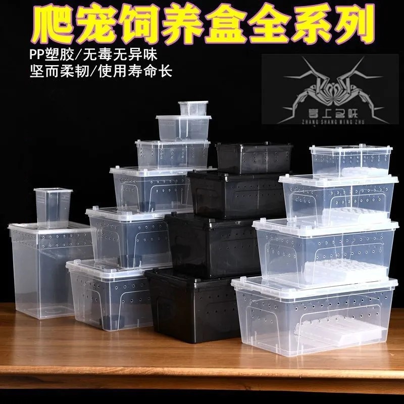 Caja acrílica para granja de hormigas, jaula para reptil Vertical, productos para mascotas BY50KC