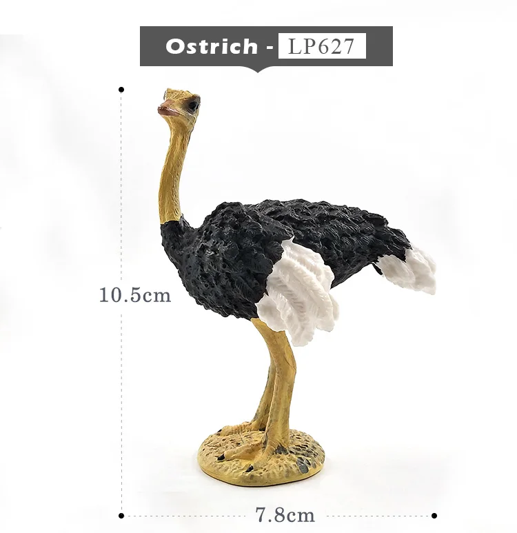 详情页-2款-鸵鸟_04